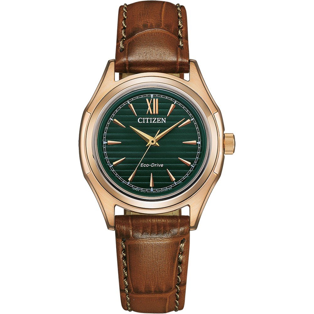 Montre Citizen Core Collection FE2113-16X