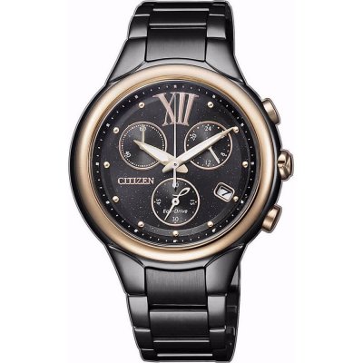 Montre Citizen FB1316-56E