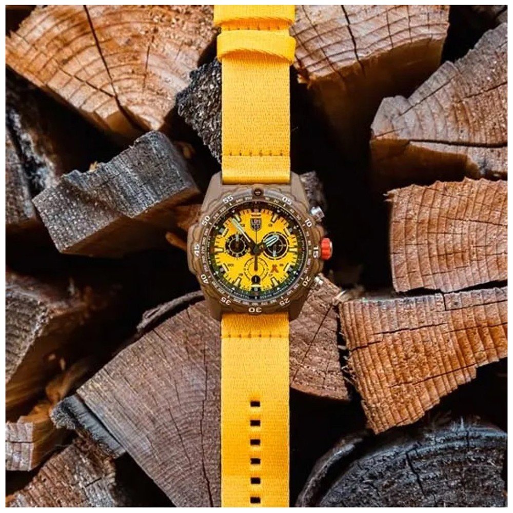 Bear discount grylls montre