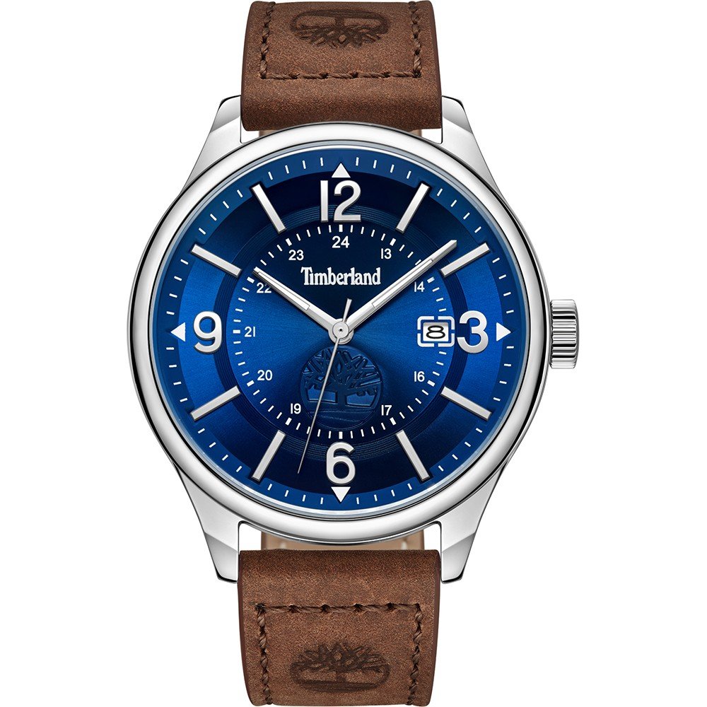 Montre Timberland TDWGB0011301 Blake