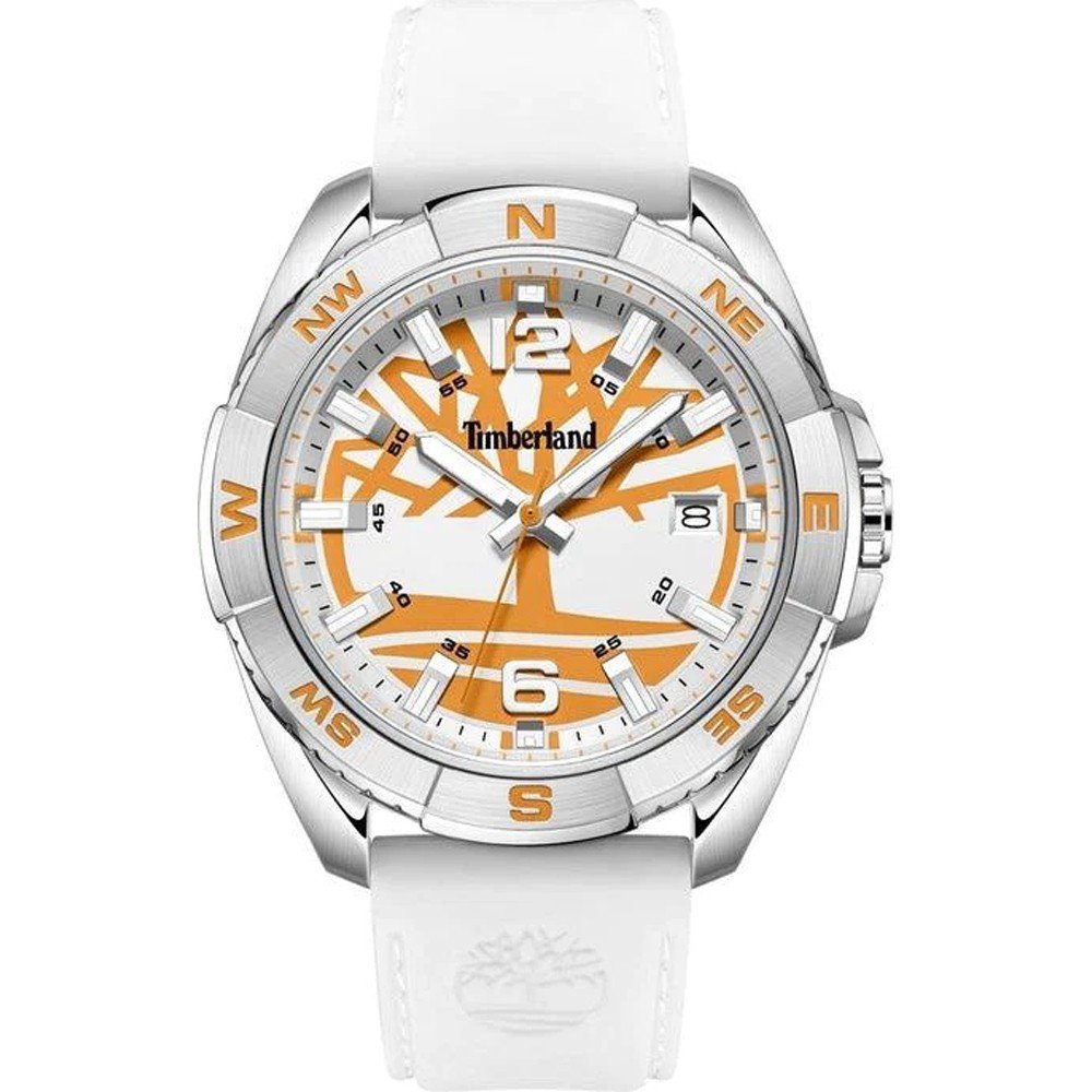 Montre Timberland TDWGN2202105 Carrigan