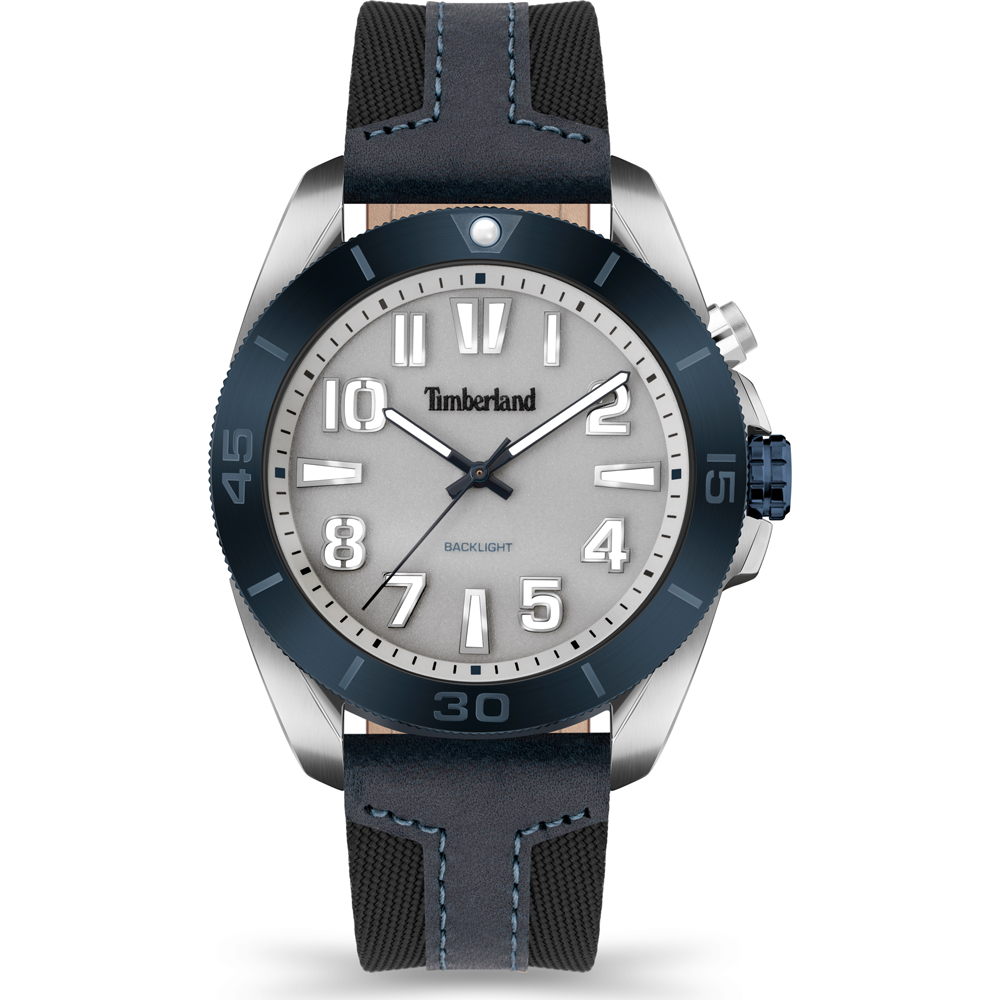 Montre Timberland TDWGP2201603 Warrick